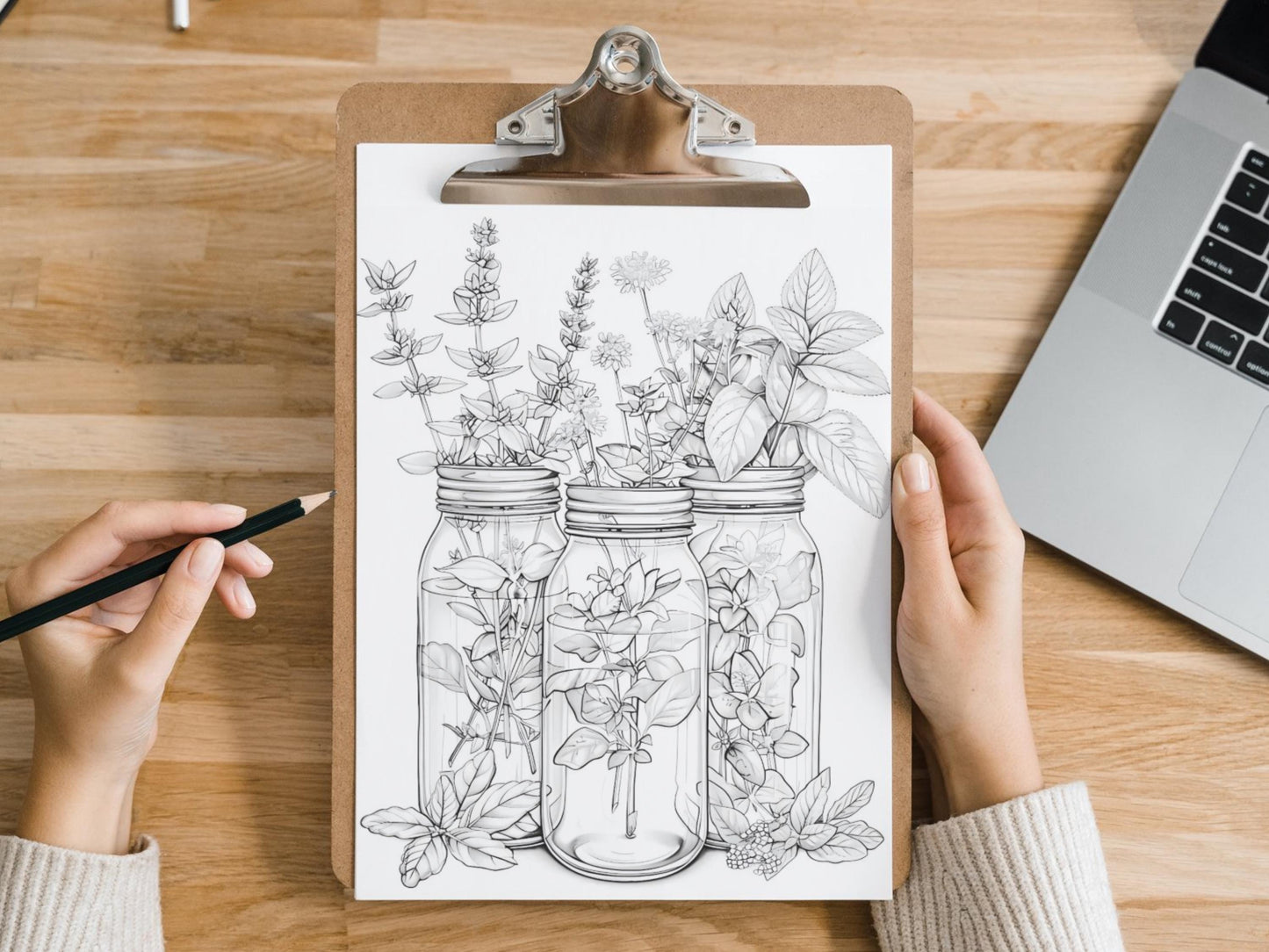 Páginas para colorear de hierbas: libro para colorear de botánica y naturaleza, ilustraciones de hierbas, páginas para colorear de plantas, hojas imprimibles de jardines de hierbas