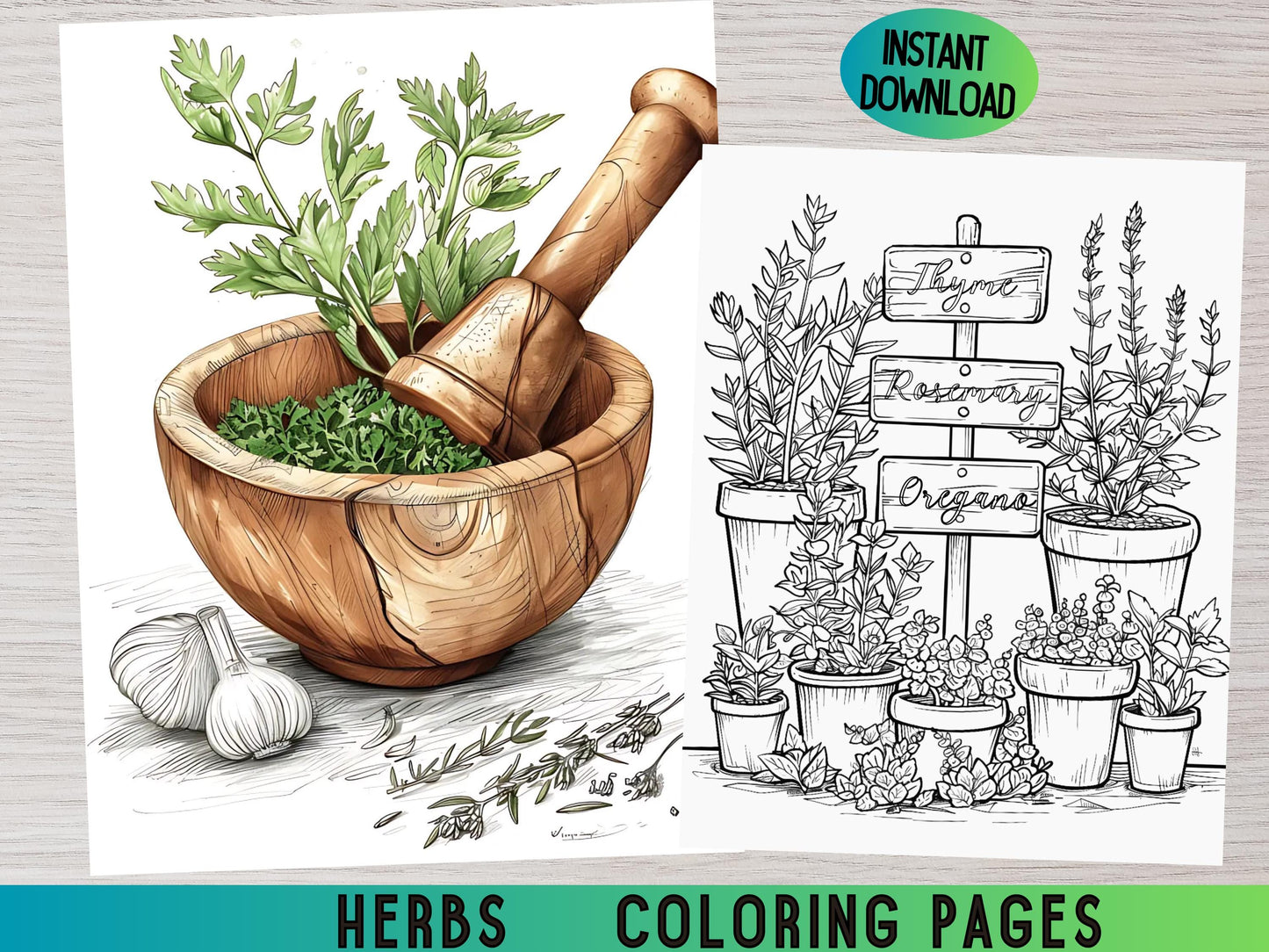 Páginas para colorear de hierbas: libro para colorear de botánica y naturaleza, ilustraciones de hierbas, páginas para colorear de plantas, hojas imprimibles de jardines de hierbas