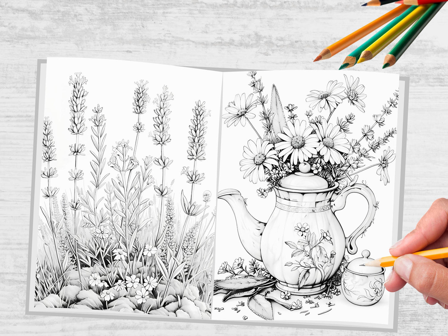 Páginas para colorear de hierbas: libro para colorear de botánica y naturaleza, ilustraciones de hierbas, páginas para colorear de plantas, hojas imprimibles de jardines de hierbas
