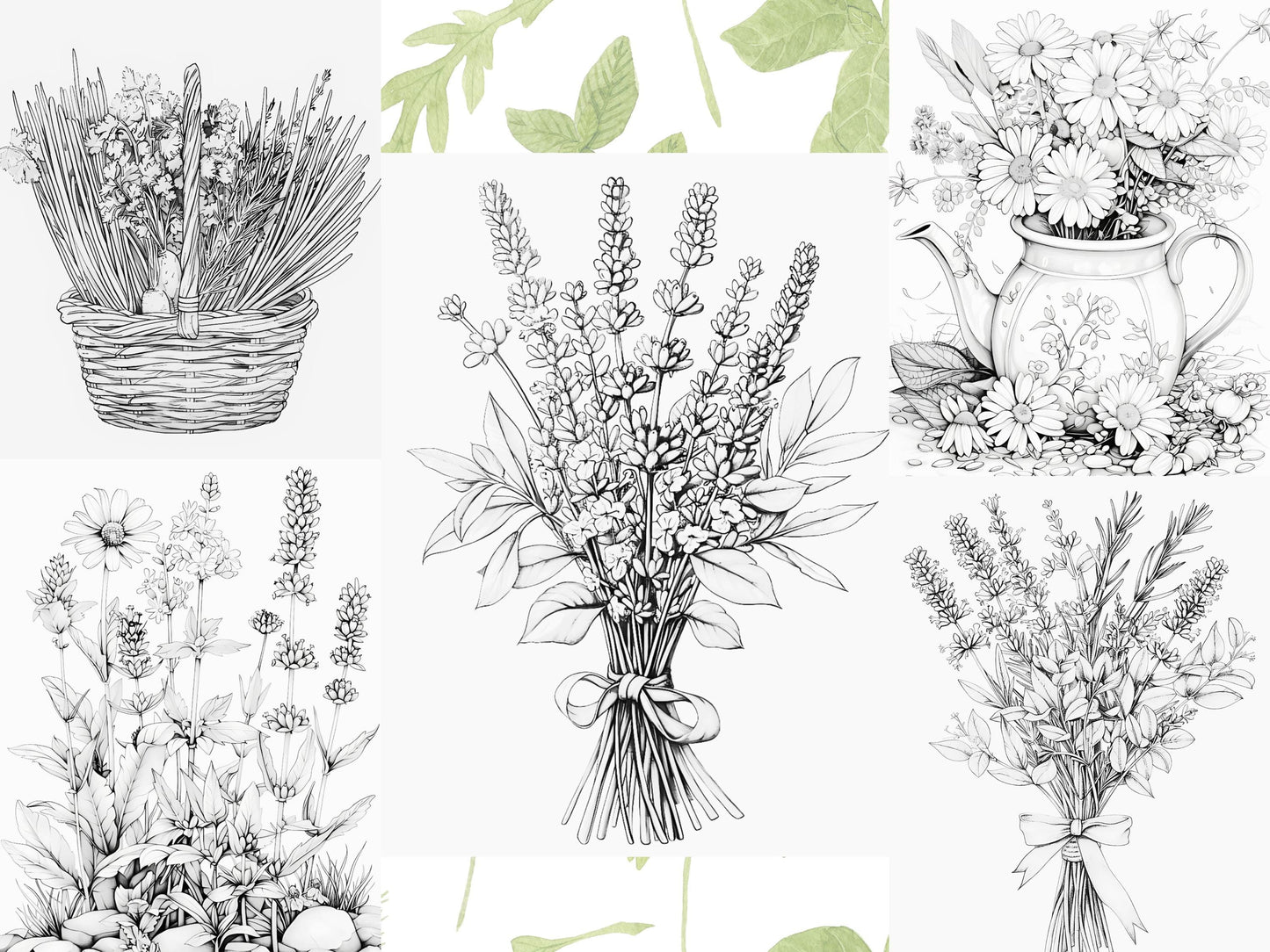 Páginas para colorear de hierbas: libro para colorear de botánica y naturaleza, ilustraciones de hierbas, páginas para colorear de plantas, hojas imprimibles de jardines de hierbas